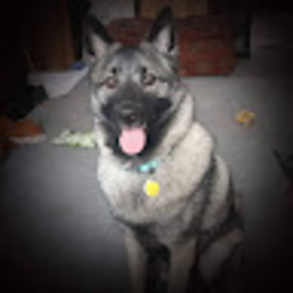 Meet your Posher, Alecia - Picture 1 of 1